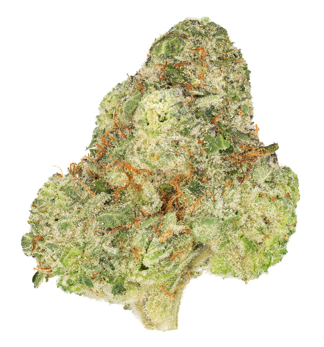 LAB – DFTB-25004 – 5g