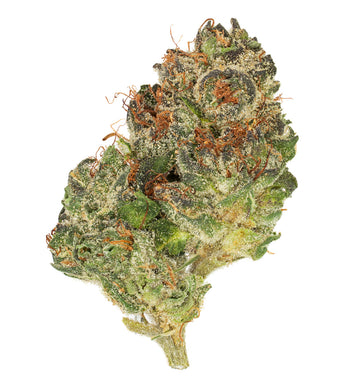 LAB – DFTB-25006 – 5g