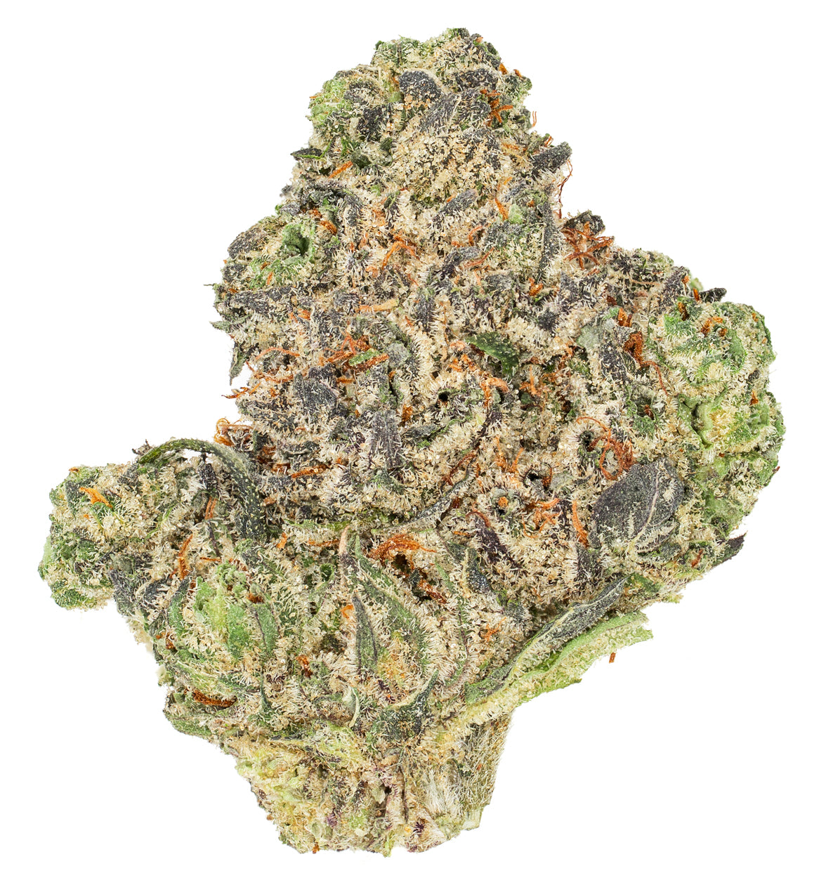 LAB – DFTB-26001 – 5g