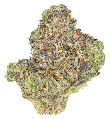 LAB – DFTB-26001 – 5g