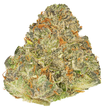 LAB – DFTB-26003 – 5g