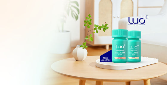 Our highest strength CBD lozenge has a new flavour
