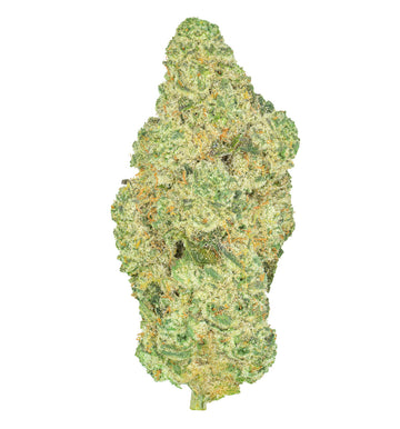Medreleaf Aurora Medical Cannabis | Veterans Program