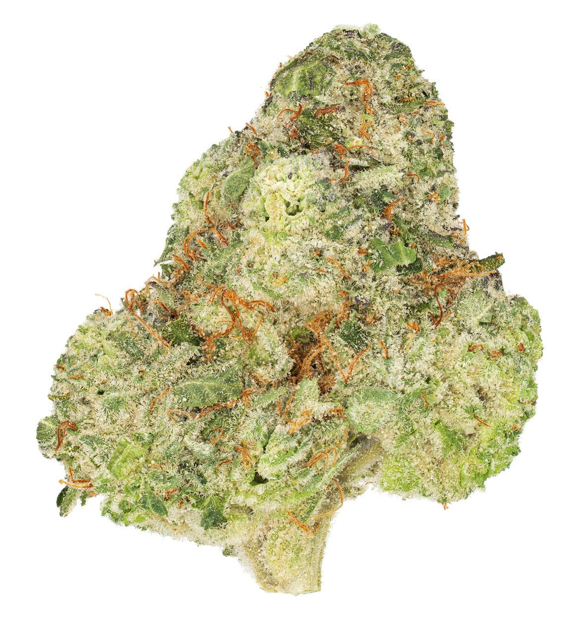 Seasonal Stash™ - Cyber Skunk™ 10g